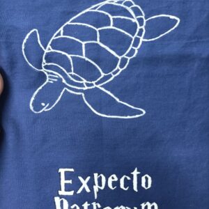 expecto patronum (patronus sur demande)